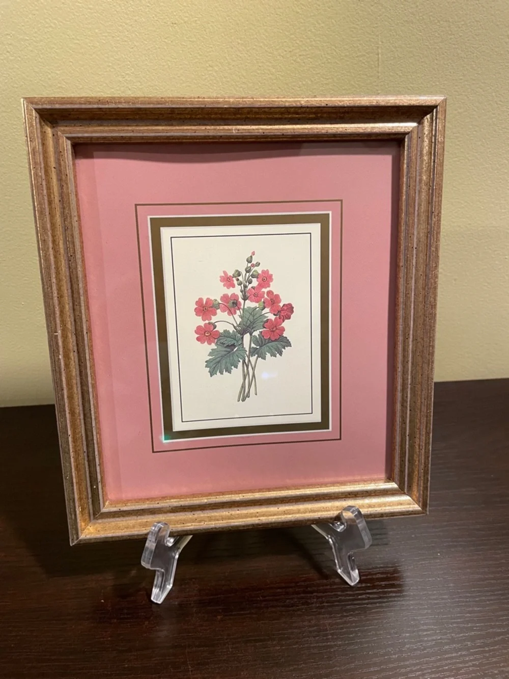 Gold Framed Botanical Floral Print • Shabby Chic & French Country Decor • 9x8